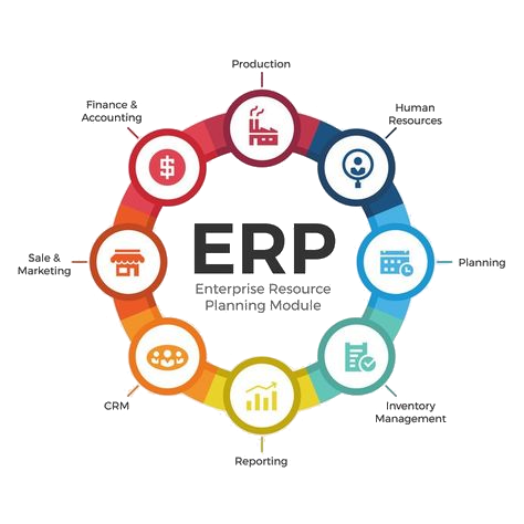 interactive erp software development