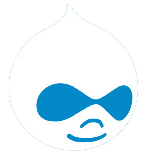 hire drupal developer