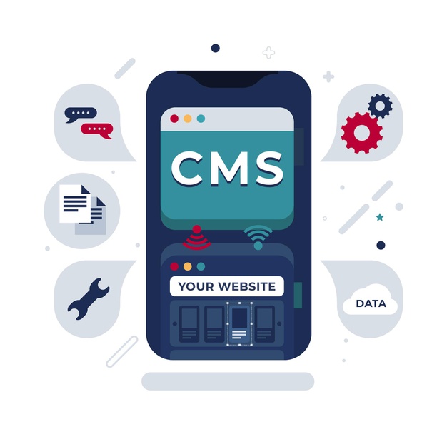 custom affordable web cms development