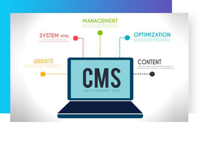cms content manage system developer